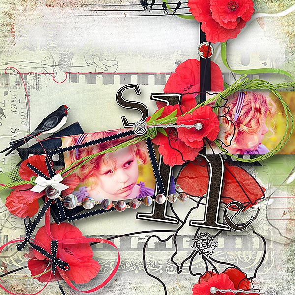 Poppy Diary by sarahh graphics