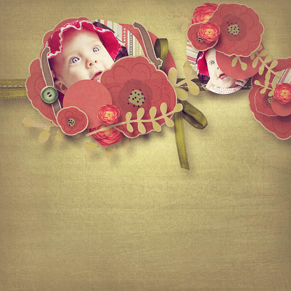 poppy_field