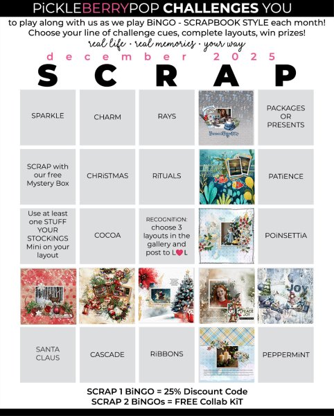 pp 2025 12 bingo card.jpg