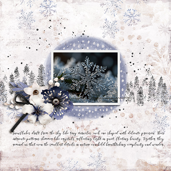 pp 2026 01 crystal.jpg