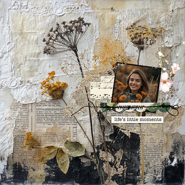 pp 2026 03 pause.jpg