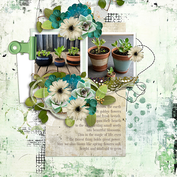 pp 2026 03 sprout.jpg