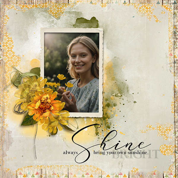 pp 2026 03 sunshine.jpg