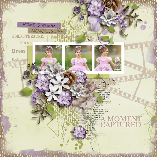 Priceless Moments Collection