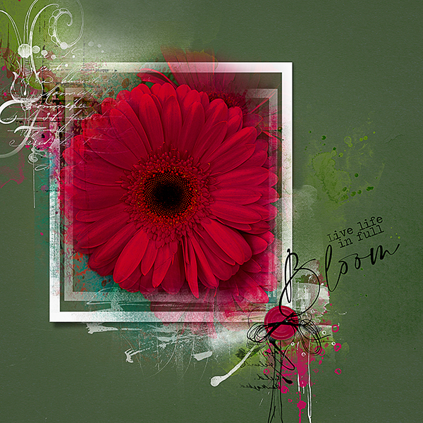 Red Gerbera600.jpg