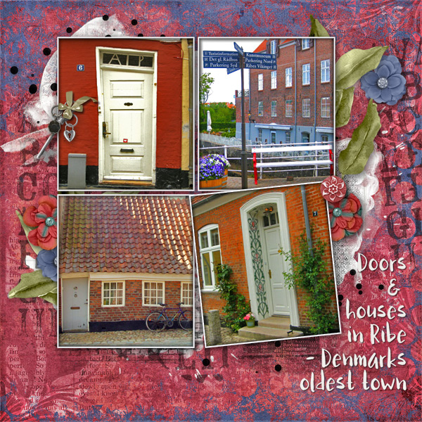 Ribe - Doors