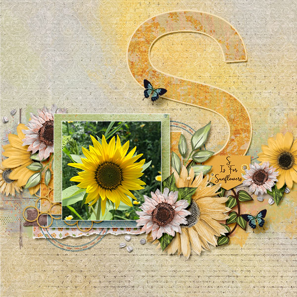 S is for Sunflower