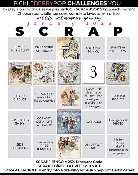 Scrap Bingo Jan 2025