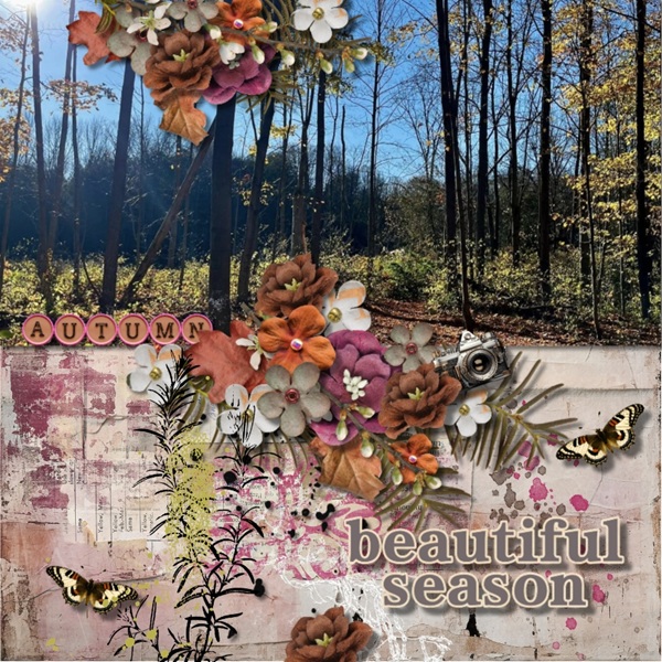 ScrapBingo Layouts - Crisp