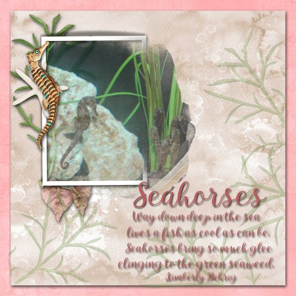 Seahorses