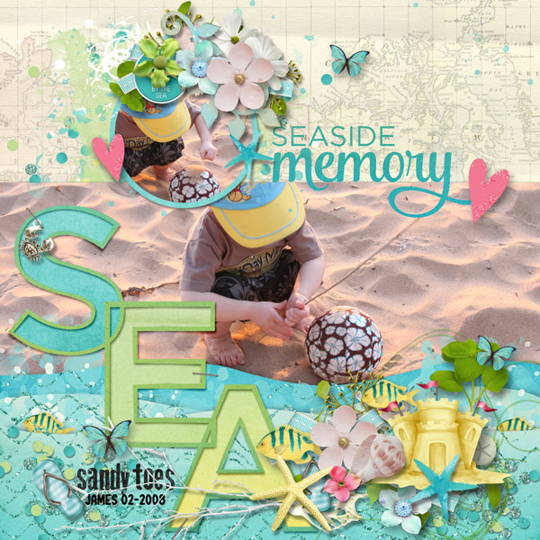 Seaside Memory