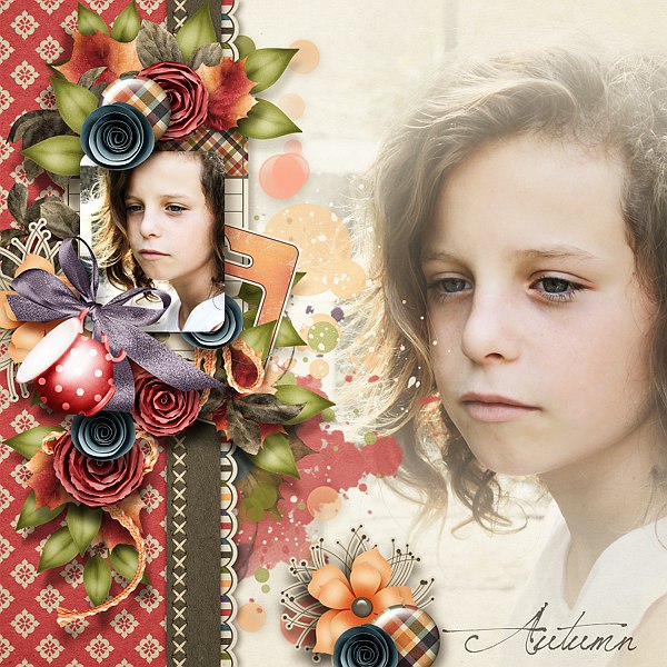 Settling in to Autumn