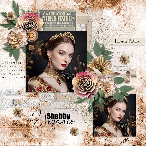 Shabby Elegance