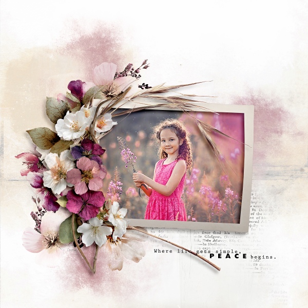 Simple Essence All in One