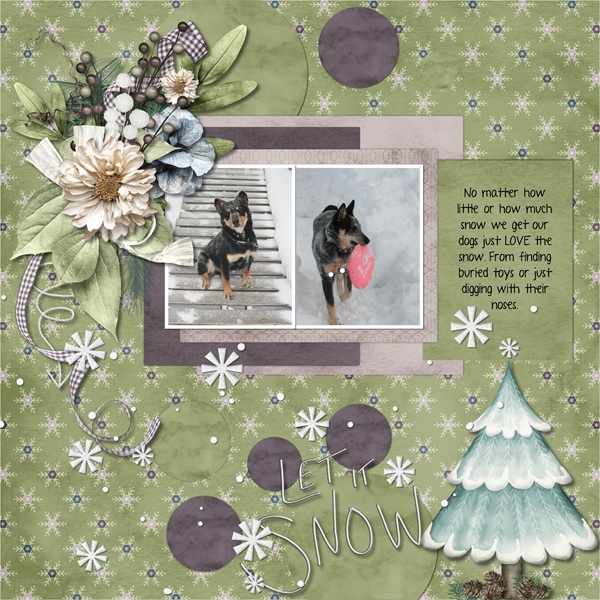 Snow loving dogs.jpg