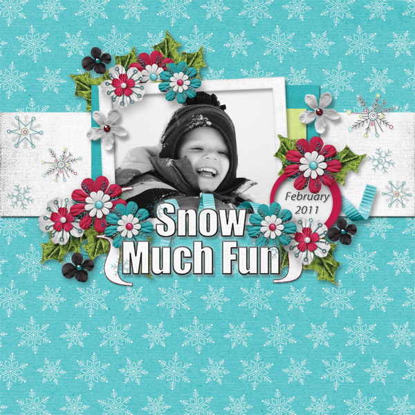 Snow Much Fun