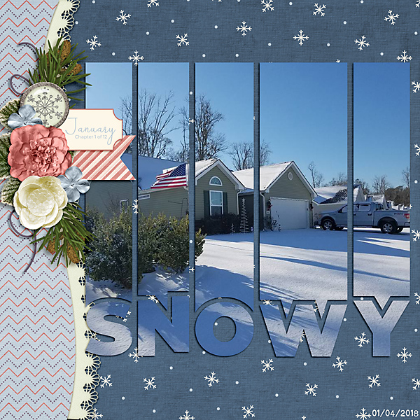 Snowy-copy.jpg