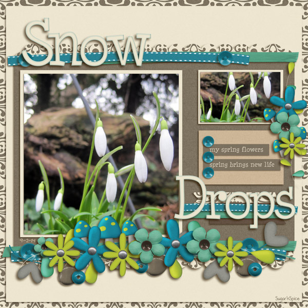 SnS-Snowdrops