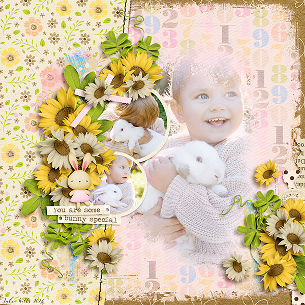some-bunny-special