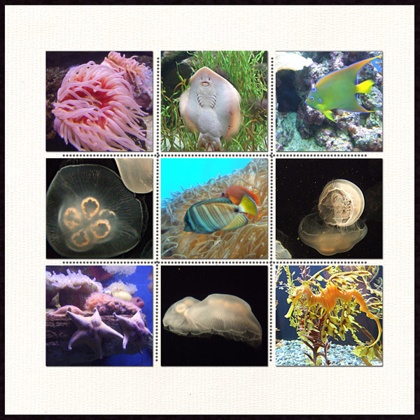 Southern California - Book Club