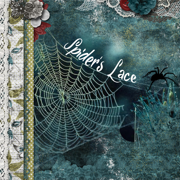 Spider's Lace