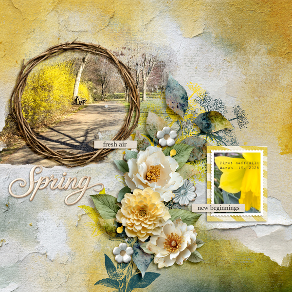 Spring Arrives