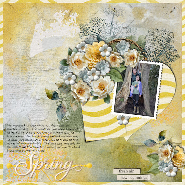 Spring Arrives