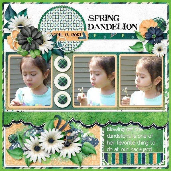 Spring Dandelion