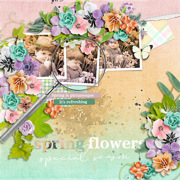 Spring Flowers