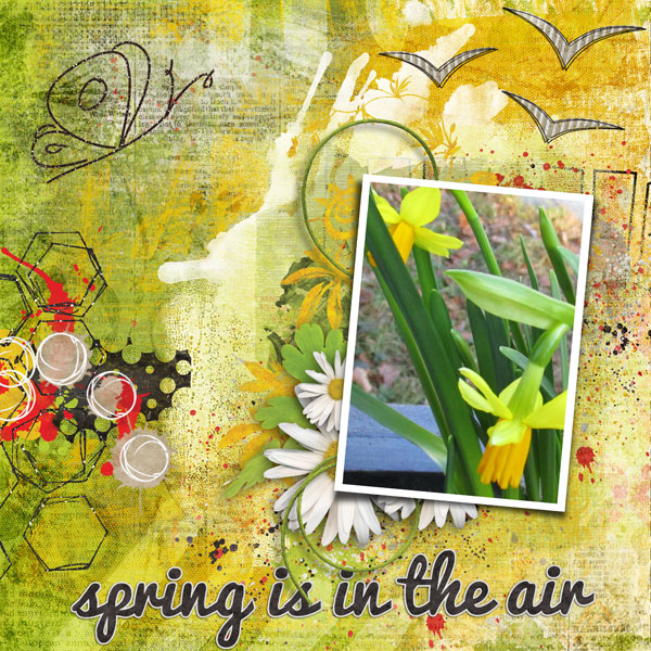 Spring is in the air