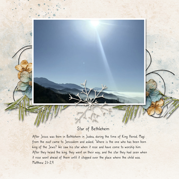 Star of Bethlehem