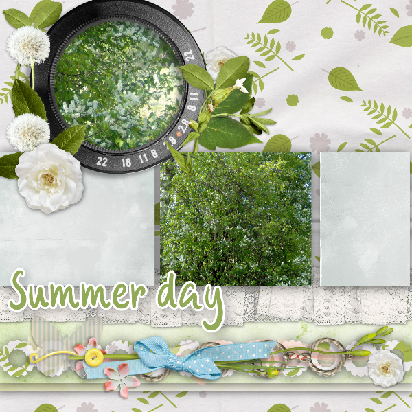 summer day.jpg