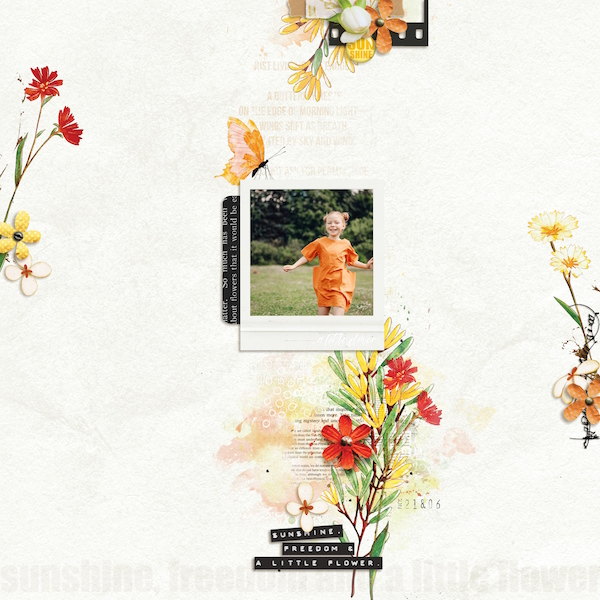 Sunshine, freedom and a little flower