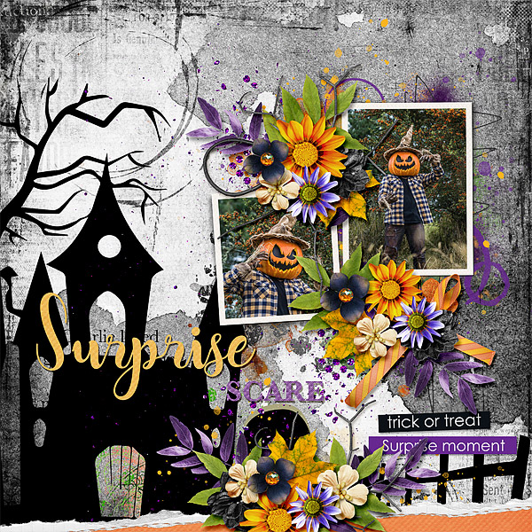 Surprise Scare