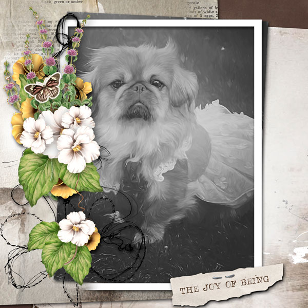 sweet Dixie.jpg