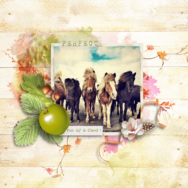 SWEET FOR MY KATTY H.B  by reginafalango