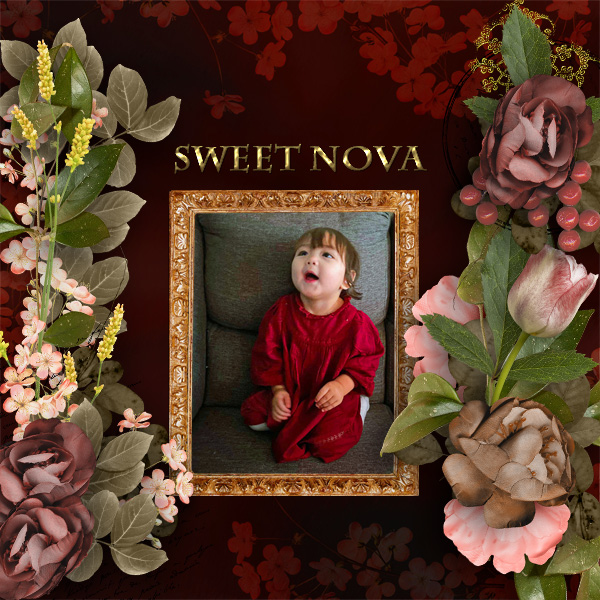 Sweet-Nova.jpg