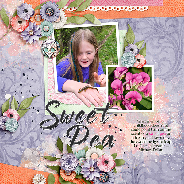 Sweet Pea