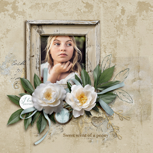 SWEET SCENT OF A PEONY