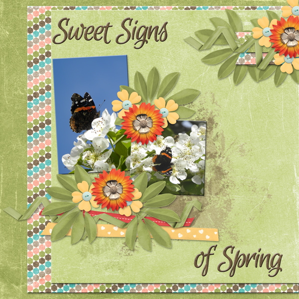 Sweet Signs of Spring