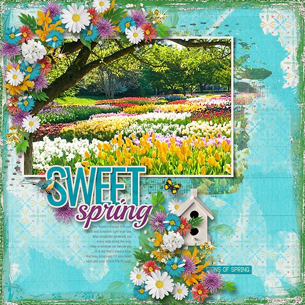 SWEET SPRING