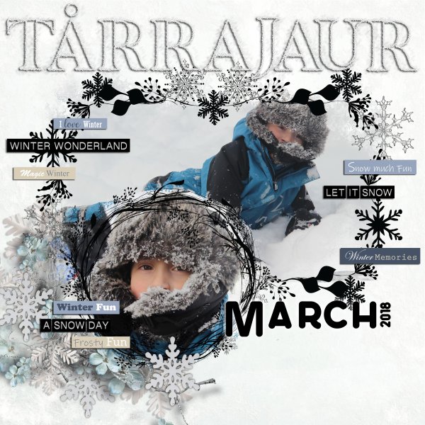 Tårrajaur