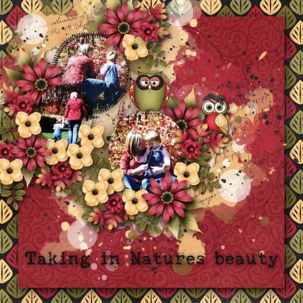 Taking in Natures Beauty