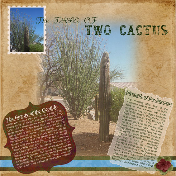 Tale of 2 Cactus