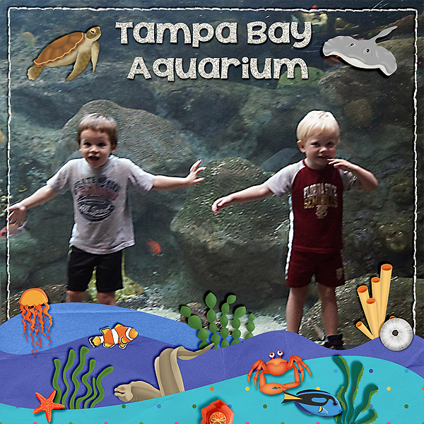 tampa-bay-aquarium