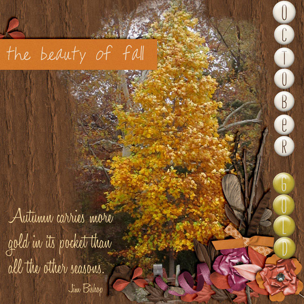 The Beauty of Fall