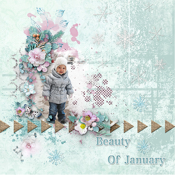 *The Beauty Of January*