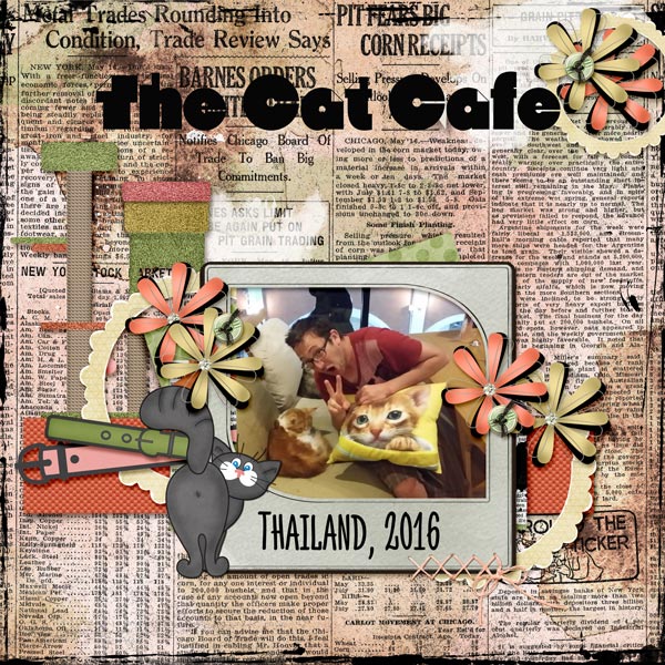 The Cat Cafe