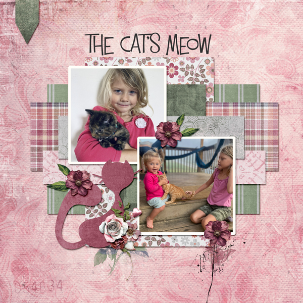 The Cat's Meow