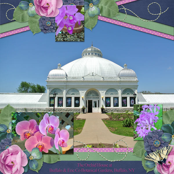 The Orchid House